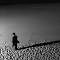 a photographer's shadow
