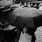 umbrella